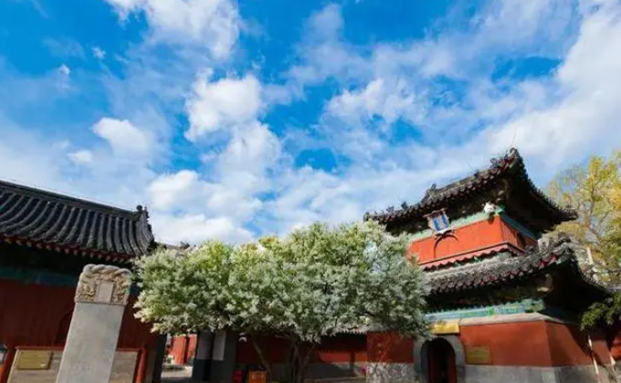 1701055702129154.png 1701055697989.png